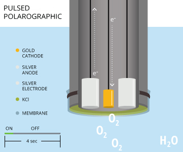 pulsed_polarographic_dissolved_oxygen_sensor