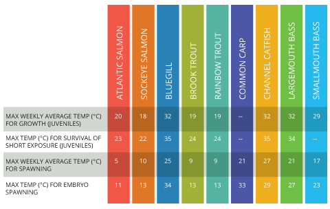 Bass Fishing Water Temperature Chart