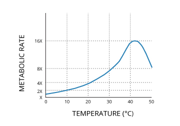 Cold Water Survival Time Chart