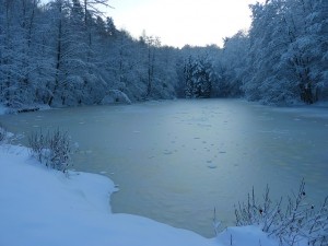 Ice on a Lake