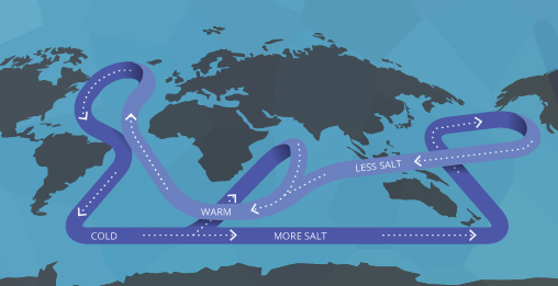 salinity_convection