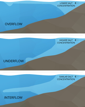 salinity_stratification