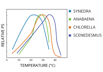 Temperature affects the photosynthetic rates of different algae. 