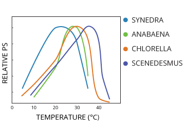Temperature affects the photosynthetic rates of different algae.
