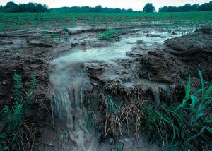 sediment_runoff_erosion_turbidity