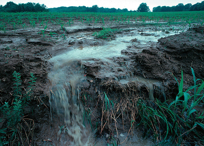 Flooding can increase conductivity when it washes salts and minerals from the soil into a water source.