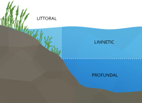 par_stratification-lake