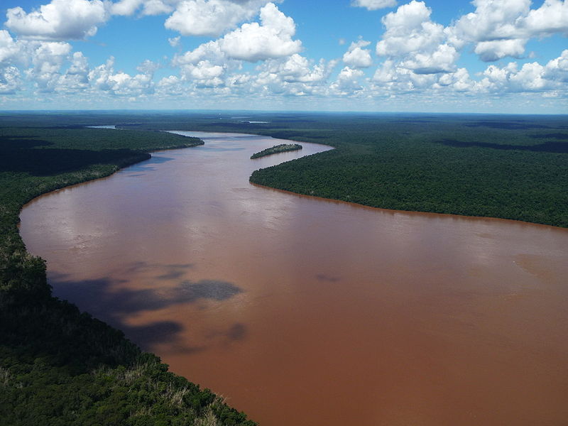 This river owes its muddy appearance to high turbidity levels.