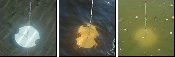 Secchi discs are used to measure water clarity. 