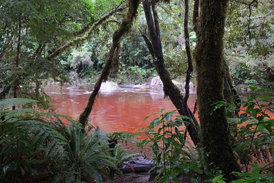 Tannins from decomposing vegetation have colored this river red.