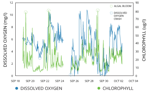 Water Turbidity Chart