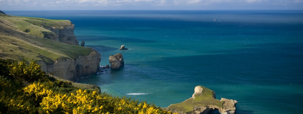 Saltwater is typically clearer than freshwater.