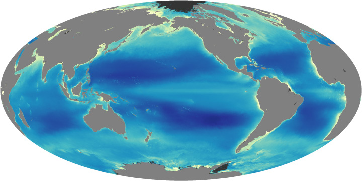 Phytoplankton can be found along coastline and areas of upwelling.Average chlorophyll concentration