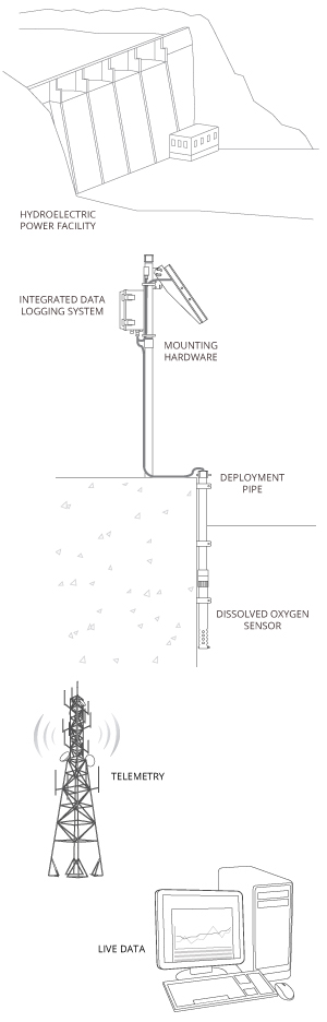 Typical DO Monitoring System