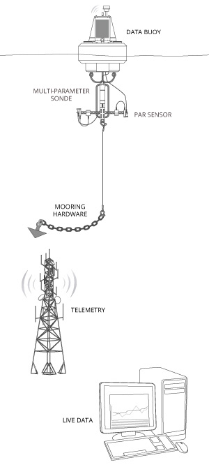 Typical inland lake monitoring system