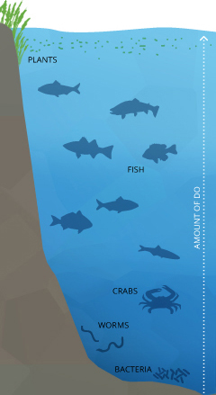 Ocean Life Zones Chart