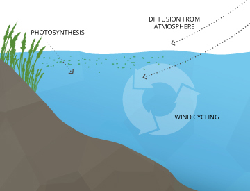 dissolved_oxygen_sources