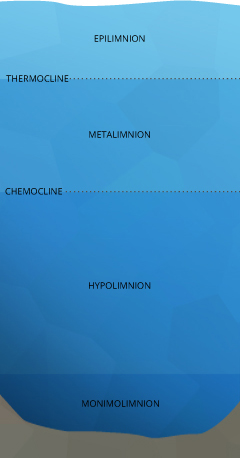 dissolved_oxygen_stratification-layers