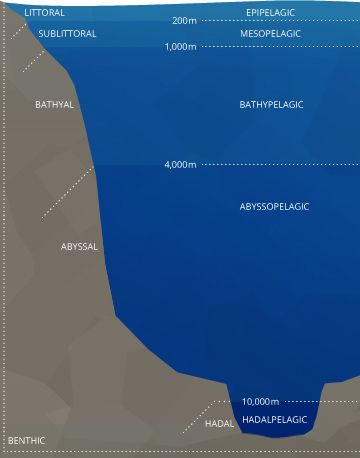 dissolved_oxygen_stratification-ocean