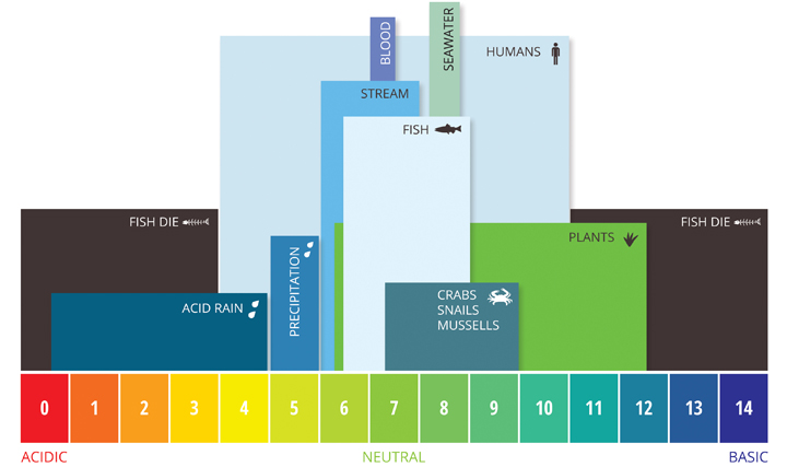 Ph Absorption Chart