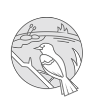 Protecting and Restoring Ecosystems