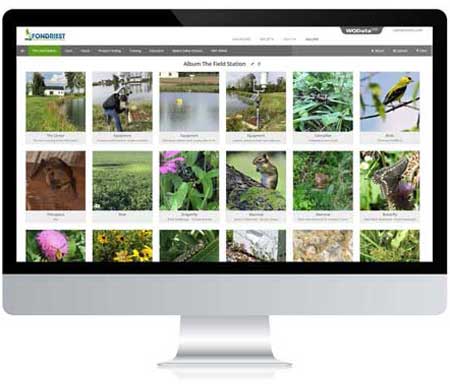 Store and share visuals in the Media Gallery