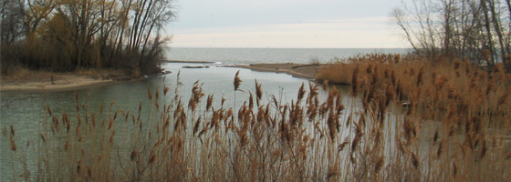 nerrs national estuarine research reserve system