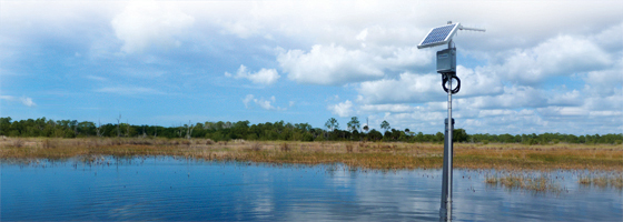 everglades wetland research park