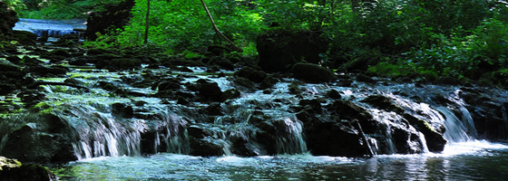 monitor ohio streams / A waterfall within the Glen Helen Nature Preserve where Wright State University chemistry students monitor water quality (Credit: bobosh_t, via Flickr)