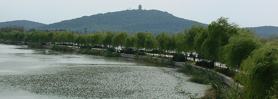 China's Lake Taihu, where collaborators on the NSF project have collected data (Credit: Marc van der Chijs, via Flickr)