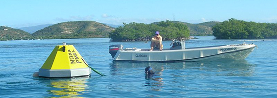 Moored Autonomous pCO2 (MAP-CO2) Buoy for ocean acidification research. Buoy engineered and deployed by the U.S. National Oceanic and Atmospheric Administration. (Credit: Hendee, via Wikimedia Commons)