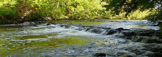 The Blackstone River in Massachusetts (Credit: Doug Kerr, via Flickr)