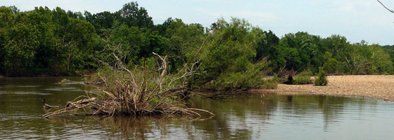 The Spring River is among the streams that will be monitored under the grant (Credit: Thomas & Dianne Jones, via Flickr)