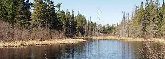The Salmon Trout River in Michigan's Upper Peninsula is among the streams environmental groups are concerned could be affected by the Rio Tinto mine (Credit: Save the Wild UP, via Flickr)