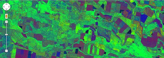 Crop cover images from vegetation monitoring tool (Image: Peter Scarth, TERN)