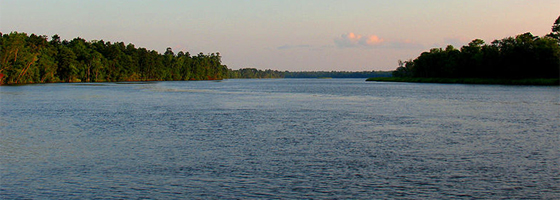The Ogeechee River near Savannah, Ga. (Credit: Karol M, via Wikimedia Commons)