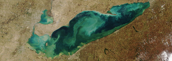 Satellite image showing stirred-up suspended sediment and algae in Lake Erie (Credit: NASA)