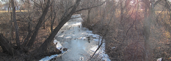 Shingle Creek (Credit: Ed Kohler, via Flickr)
