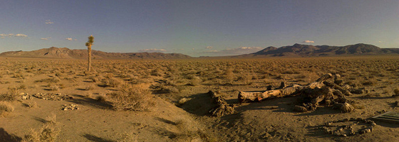The Mojave Desert (Credit: Theschmallfella, via Wikimedia Commons)