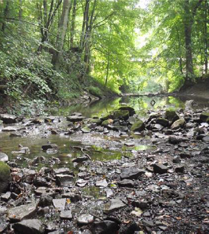 Walhonding River tributary (Credit: Ohio Environmental Protection Agency)