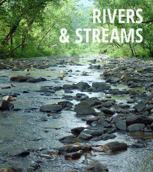 Rivers & Streams news