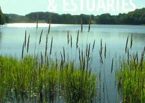 Ohio cities turn to green space to manage increasing stormwater