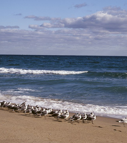 Florida’s Atlantic coast (Credit: Library of Congress)