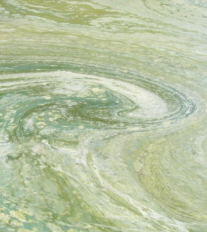 Algal bloom resulting from runoff on Cedar Lake in Wisconsin (Credit: Wisconsin Department of Health Services)