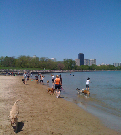 A Lake Michigan beach in Chicago (Credit: Chris Hamby, via Flickr)