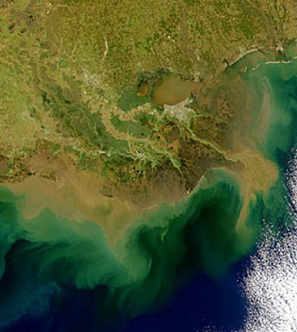 Image: In 2011, 6,800 square miles of dead zone occupied the Gulf of Mexico (Credit: NASA)