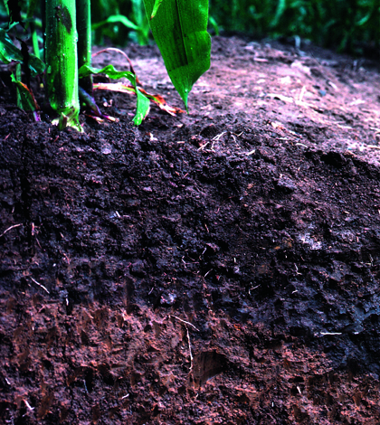 Soil profile (Credit: NRCS)