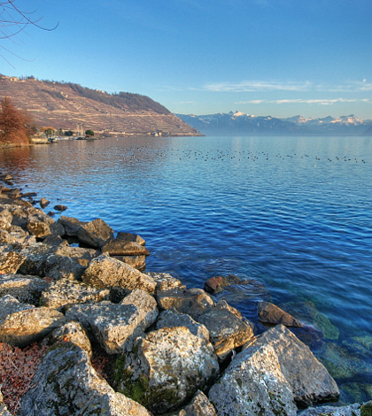 Lake Geneva at Cully, Switzerland (Credit: Carolina Ödman, via Wikimedia Commons)