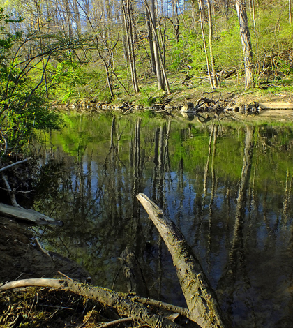 Little Lehigh Creek (Credit: Nicholas A. Tonelli, via Flickr)