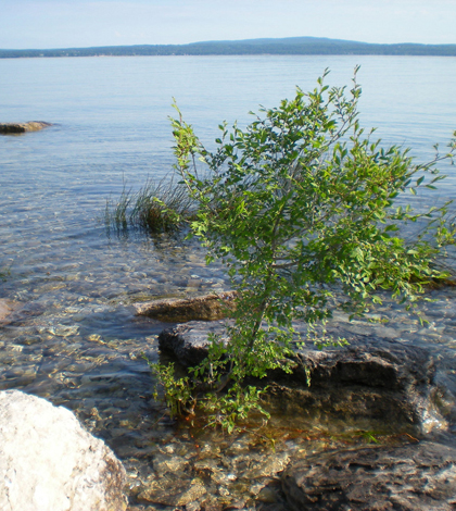 Little Traverse Bay is among the water bodies in need of volunteer monitors (Credit: bagaball, via Flickr)